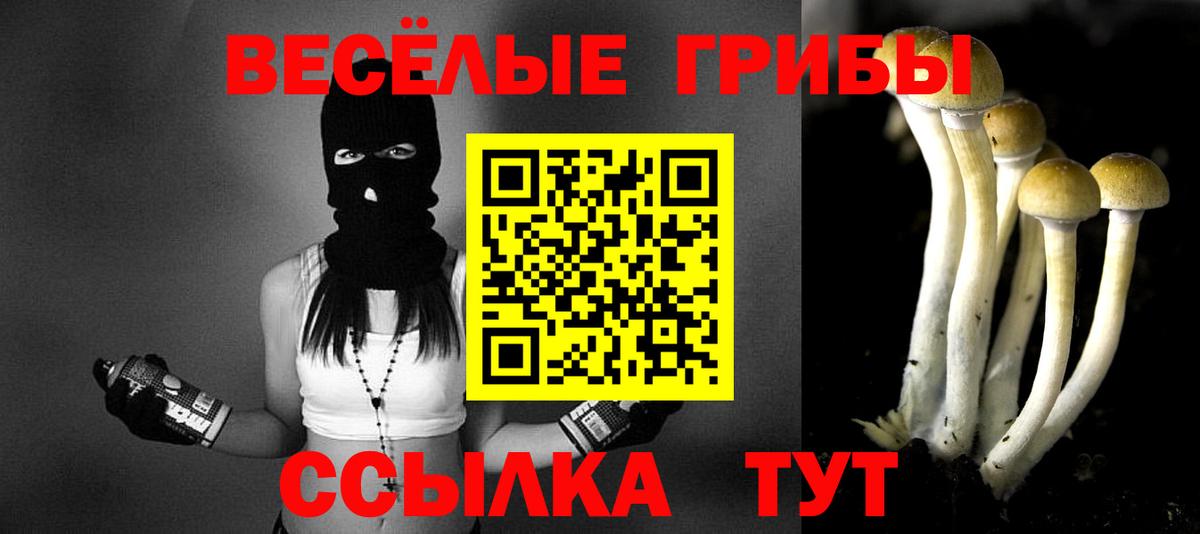 Саранск  Псилоцибиновые грибы GOLDEN TEACHER  Галлюциногенные грибы ЛСД  Вход с VPN 
