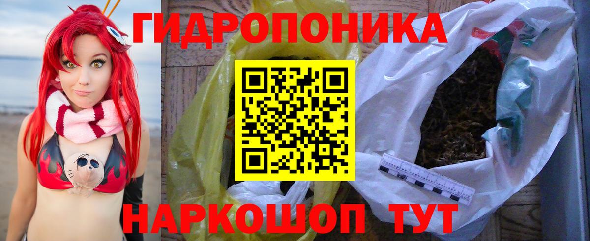 Канабис сатива  Конопля White Widow  МАРИХУАНА Amnesia  Саранск  Вход с VPN 